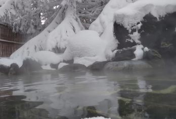 日本札幌白色恋人公园-北海道神宫-藻岩山【北海道中文专车】【中文专车出行，景点灵活调整，打卡经典，游玩自己定义，无需等待，专属贴心服务，尽享惬意旅程】