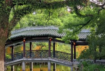 温州江心屿【人工讲解服务 可选场次 时长】【[时长保障] 不会「水」时长，每一场讲解确保都足料足质。】