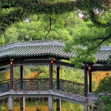 温州江心屿【人工讲解服务 可选场次 时长】