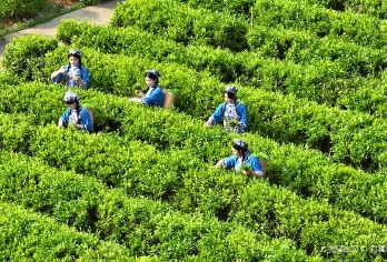 梅州雁南飞景区+叶帅故居一日活动【探访客家祖地/缅怀先烈之旅】【寻根旅游探亲/探访客家福地/缅怀先烈之旅/体验客家传统文化/感受客韵之美】