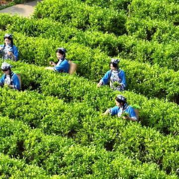 中国客家博物+梅州叶帅纪念园+叶帅故居一日活动+独立包车上门接