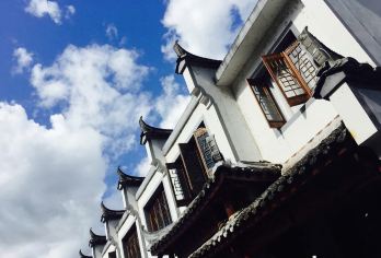 景宁畲乡之窗+时思寺+云中大漈+小佐梯田一日游【包车游】【[民族风情]行走在竹林小道，竹影婆娑，山风阵阵】