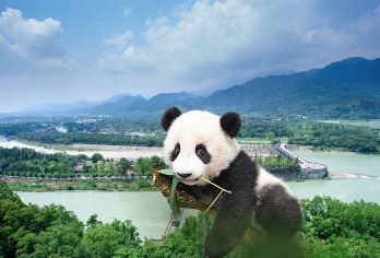 6人小团+含门票讲解+熊猫谷+都江堰+钟书阁+仰天窝+蓝眼泪【优惠门票全价退，降噪耳机免费用，回扣自费要抵制，全程服务不加价。】