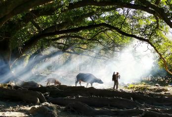 霞浦杨家溪榕枫公园+东壁落日+小皓滩涂+花竹村一日游|8人团【[上门接送]霞浦城区范围内免费上门接送，如遇节假日等为规避交通拥堵，请自行到霞浦九大馆集合出发】