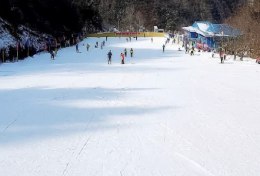 翠华山滑雪场一日包车游【1单1车私家团】三环内上门接送/纯玩【西安市三环内接送让您出行无忧，专业带队老司机出行无忧[5座7座9座可选]】