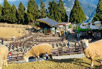 清境农场+日月潭一日游【台中出发/拼团游/2人起订/私家接送，纵横台湾中部山脉的两颗明珠，超高性价比】
