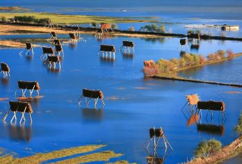 【香格里拉纯玩精品小团1日游】纳帕海伊拉草原环湖独克宗虎跳峡【纯玩小团， 人少，自由度高，节奏悠闲，，纳帕海伊拉草原深度环湖一圈，网红打卡随走随拍，深入藏族文化！】