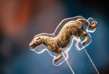 【不含票】陕西历史博物馆半日游/趣味深度讲解/多场次可选【该产品为讲解套餐产品，门票请自行预约】