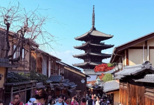 日本京都古寺庙+八坂神社+萌鹿奈良公园+伏见稻荷大社一日游【精选景点不走寻常路，纯玩不进店，无隐形消费！】