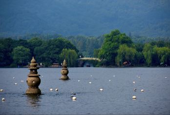 杭州名胜一日游【您可以乘船游览西湖，沿着苏堤道漫步，还可以去花池公园观赏鱼类。 品味杭州风味，包括当地美食和著名的龙井茶。 与经验丰富的英语导游一起旅行】