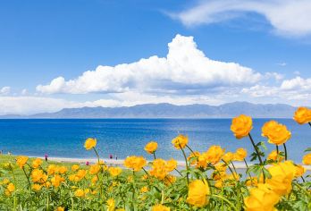 新疆博乐+赛里木湖一日游【含门票+赠送无人机航拍+上门接送】【升级景区直通 / 自驾 360° 环湖，景点直达不折腾！1人起发说走就走，随手拍都能刷爆朋友圈！】