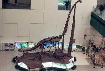 科技大爆炸-AI与航天手拉手-大咖讲述者私家小包团精品研学【精品小团，私家耳麦防蹭听】