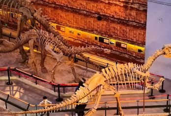 广东省博物馆+孙中山大元帅府纪念馆+黄埔军校旧址纪念馆一日活动【红色旅游丨厚植家国情怀，参观黄埔红色印记丨探索百年帅府丨岭南文化宝库-广东省博物馆】