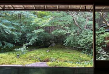 日本京都-贵船神社-三千院/岚山巍峨野小火车-红叶巡礼红叶季【专业行程定制，精选热门景点，高效游玩不走回头路，贴心服务保障，轻松】