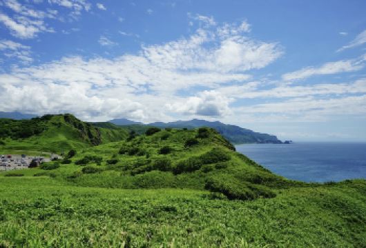 日本小樽神威岬-小樽运河-小樽音乐盒堂【北海道中文专车】【中文专车出行，景点灵活调整，打卡经典，游玩自己定义，无需等待，专属贴心服务，尽享惬意旅程】