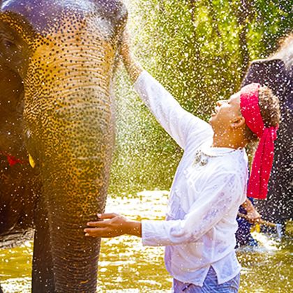 清迈New Elephant 新大象之家粘粘瀑布一日游大象营