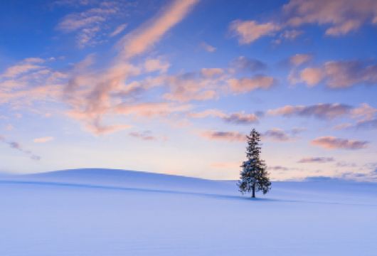 北海道冬季｜美瑛圣诞树＆四季彩之丘＆白须瀑布＆精灵露台一日游【冬季四季彩之丘的雪乐园体验刺激又好玩的雪地机车、雪地泛舟、雪撬，尽情享受在雪地上驰骋的快感】