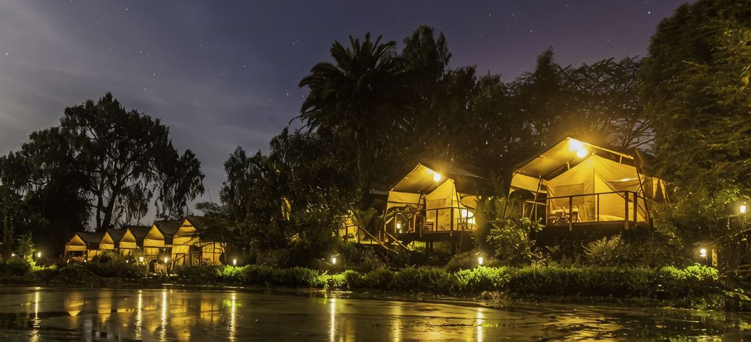 Wildebeest Eco Camp