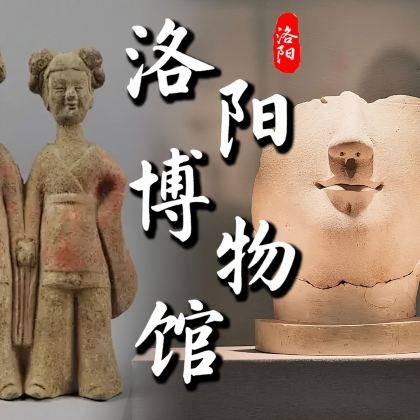 洛阳博物馆半日游【代订门票+2小时大咖讲解+研学可选】