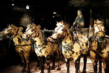 西安秦始皇帝陵博物院(兵马俑)+华清宫一日游【青年晚出发】【[亮点1]：轻奢团8点晚出发；多种演出套餐搭配，解锁游玩新方式，可以选多种演出！】