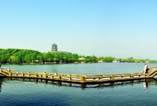 商务车丨可选英文导游丨杭州出发 杭州西湖+雷峰塔+河坊街【[精选景点]杭州深度漫游，品味“人间天堂”风情！】