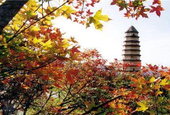 延安革命纪念馆+杨家岭+枣园+宝塔山+王家坪旧址包车一日活动【[睡醒出发]无需早起，一觉睡到自然醒，轻松出游！】