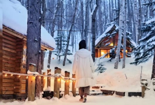 日本美瑛神社-青池-白须瀑布-四季彩湖【北海道中文专车】【中文专车出行，景点灵活调整，打卡经典，游玩自己定义，无需等待，专属贴心服务，尽享惬意旅程】