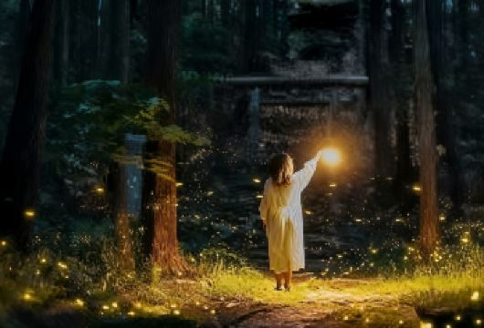 懒人版15点出发丨马来西亚沙巴海龟菀红树林一日游丨追萤火虫【市区酒店上门接送，中文导游服务，漫天飞舞的萤火虫，如繁星般璀璨虫，点亮浪漫幻境，勾起童年回忆】