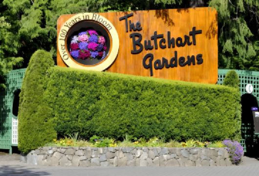 温哥华出发的维多利亚和布查特花园一日游【乘坐往返渡轮，欣赏前往维多利亚途中令人惊叹的海岸和岛屿美景，享受轻松愉快的旅程。 参观举世闻名的布查特花园，门票已包含在内，您可以欣赏其令人叹为观止的花卉展览和主题花园。 参加导览日游，探索维多利亚的精华景点，包括历史悠久的市中心、迷人的港口和标志性地标。】