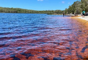 【亲子游，牵手考拉】澳洲黄金海岸拜伦湾+可伦斌动物园一日游【中文沟通无碍，深度体验，行程可调】