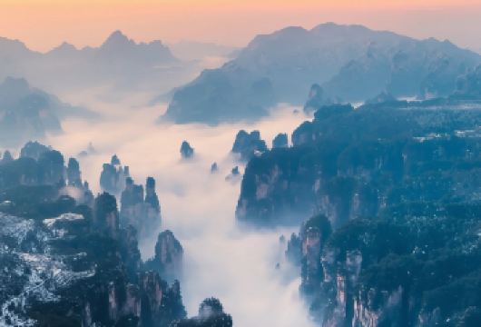 张家界国家森林公园私家日游：探索神奇的阿凡达峰林【118秒内乘坐世界*高的户外电梯（百龙天梯）。 全景缆车俯瞰3000多座砂岩峰林与云海奇观。 包团服务含酒店接送，轻松探索核心景点。】