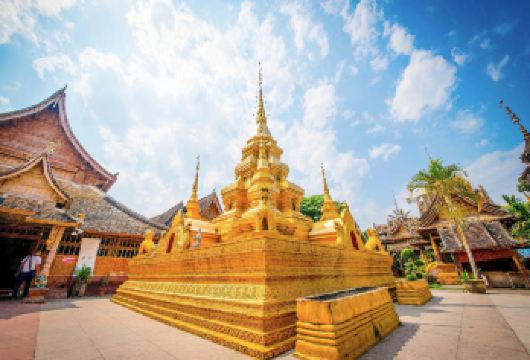 中国科学院西双版纳热带植物园+傣族园一日游【可选15人小团】【[优选看点]上午走进植物王国，探秘热带雨林，下午体验傣乡文化，亲身参与傣族泼水节】