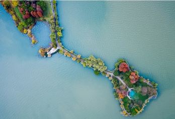 【秋游-私家团】 黄鹤楼+武汉大学+东湖绿道+东湖磨山一日游【[行程特色]深度游武汉-包车轻松游-少走路线路】