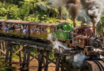 墨尔本-蒸汽小火车-企鹅岛一日游-近距离和动物互动【坐在火车的窗台上，把双脚悬出车外，驶过数十米高的木制栈桥，穿梭于风景如画的丹德农山脉中。】