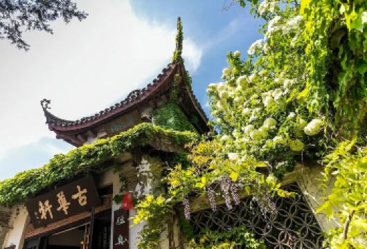 【览惠山古镇，赏太湖风光】+无锡一日游+【从上海出发】【纯玩儿，定制专车出行，行程自由】