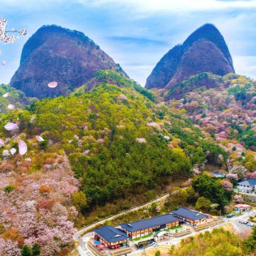 [首尔出发] 全州马耳山赏樱一天团