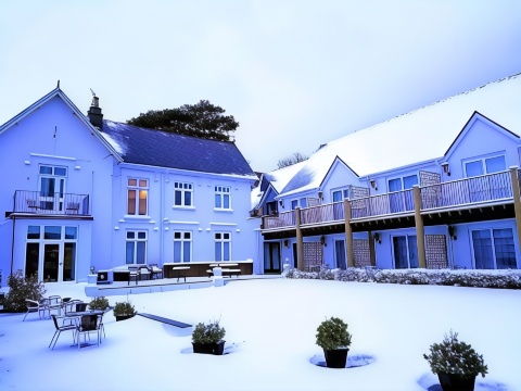 海伍德Spa酒店-官方