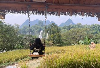 德天景区+明仕田园一日跟团游【温馨提示：70岁以上老年人咨询后下单，年龄超过80岁（含）高龄人群无法接待，敬请谅解！】