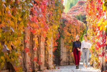古北水镇日+夜深度一日游/唐山参团【古北水镇深度（日+夜）一日游】