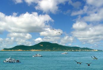 【包车游】火炬八街+刘公岛+威海市区景点自由组合游玩【纯玩无购物包车自由行，自家车队统一管理，车况好手续全，出行无忧！】