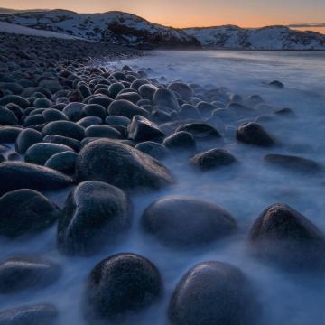 俄罗斯摩尔曼斯克捷里别尔卡出海自然保护区一日游