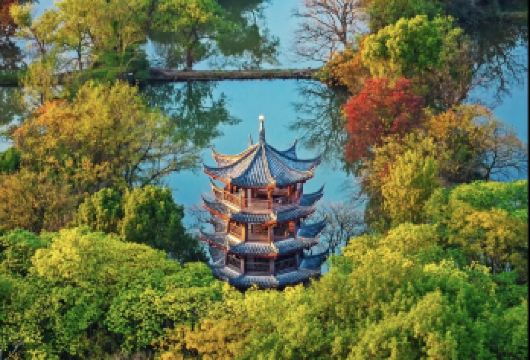 杭州西溪湿地+宋城+千古情表演【纯玩无购物】一日游【优选行程 畅游地标景点，寻国家宝藏，赏世界文化遗产，漫游古街感受此座老城慢时光。】