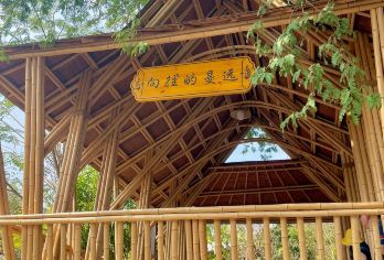 中科热带植物园+曼远村一日游/独立团/植物王国/向往的生活【[精品推荐]打卡5A景区，探寻植物王国的魅力，向往的生活同款地，打卡游玩好去处】