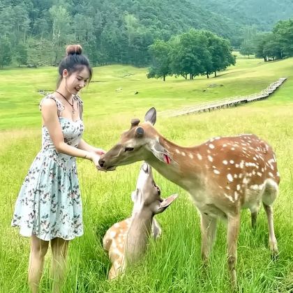 【6人内纯玩小团】伊春九峰山+金山鹿苑一日游