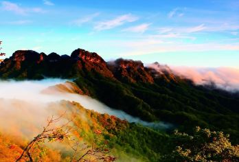 光雾山包车游【（巴中出发）光雾山或米仓山或十八月潭 包车游】【包车独立发车，按照人数选择车型，价格指的是一辆车的价格，独立包车不拼团】