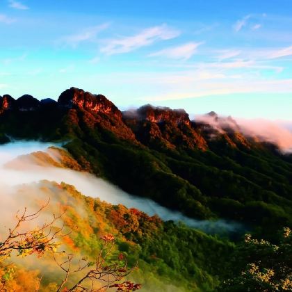 光雾山包车游【（巴中出发）光雾山或米仓山或十八月潭 包车游】