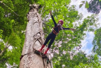 基诺山巴朵雨林徒步一日游【6人独立团+酒店接送+项目】【[精品纯玩]纯玩无购物，无任何隐形消费，沉浸式体验徒步；避开传统景点，喧闹的人群，扎进茂密原始丛林；】