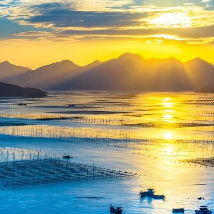 霞浦北岐日出+东壁落日+杨家溪榕枫公园+花竹村一日游|8人团