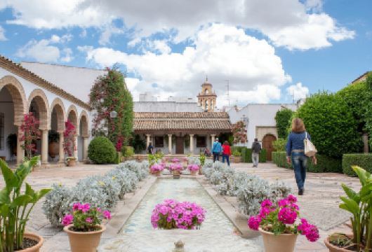 塞维利亚出发：百花巷＋罗马桥【科尔多瓦市中心行程可定制】【一日尽览伊斯兰与基督教交融遗产，漫步纯白花巷、千年罗马桥与皇家庭院，沉浸式感受安达卢西亚千年风华】