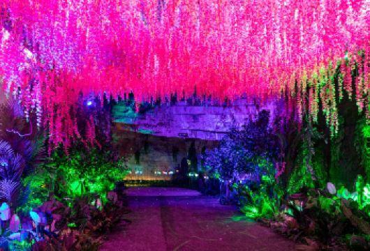 腾龙洞风景区一日游【◆指定酒店接◆玩转恩施腾龙洞】【游在恩施：观世界大溶洞 ；免费观看 “激光秀”、“夷水利川”表演】